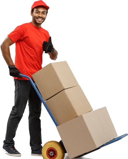 Packers and Movers in Hisar